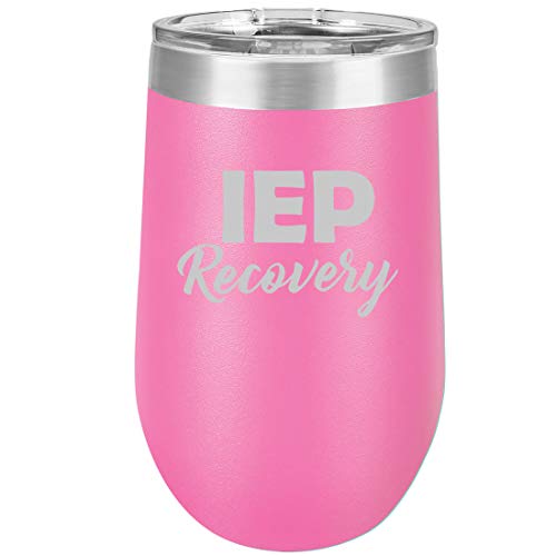 16 oz Double Wall Vacuum Insulated Stainless Steel Stemless Wine Tumbler Glass Coffee Travel Mug With Lid IEP Recovery Special Education Teacher (Hot Pink)