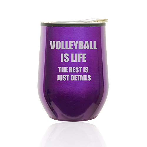 Stemless Wine Tumbler Coffee Travel Mug Glass With Lid Volleyball Is Life (Royal Purple)