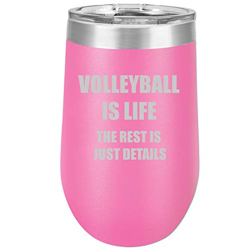 16 oz Double Wall Vacuum Insulated Stainless Steel Stemless Wine Tumbler Glass Coffee Travel Mug With Lid Volleyball Is Life (Hot Pink)