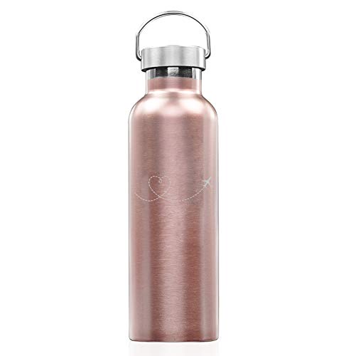 Rose Gold Double Wall Vacuum Insulated Stainless Steel Tumbler Travel Mug Heart Love Travel Airplane (25 oz Water Bottle)