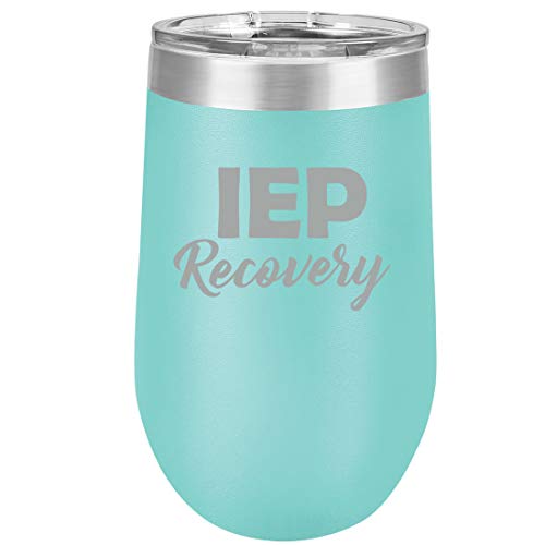 16 oz Double Wall Vacuum Insulated Stainless Steel Stemless Wine Tumbler Glass Coffee Travel Mug With Lid IEP Recovery Special Education Teacher (Teal)