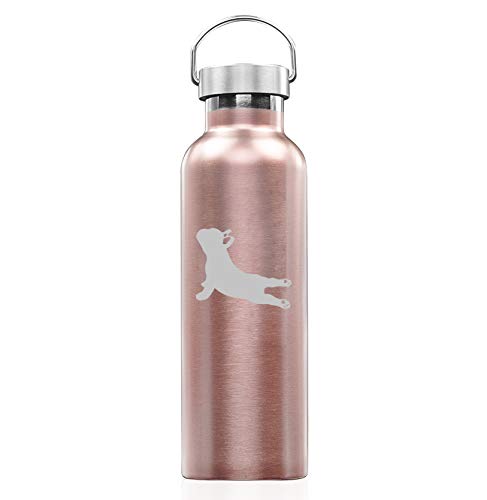 Rose Gold Double Wall Vacuum Insulated Stainless Steel Tumbler Travel Mug French Bulldog Yoga (25 oz Water Bottle)