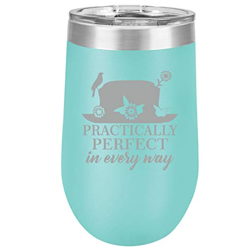 16 oz Double Wall Vacuum Insulated Stainless Steel Stemless Wine Tumbler Glass Coffee Travel Mug With Lid Practically Perfect In Every Way (Teal)