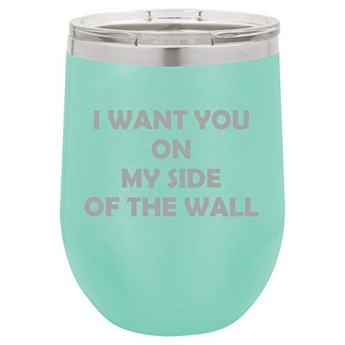 12 oz Double Wall Vacuum Insulated Stainless Steel Stemless Wine Tumbler Glass Coffee Travel Mug With Lid I Want You On My Side Of The Wall Funny Friend Boyfriend Girlfriend (Teal)