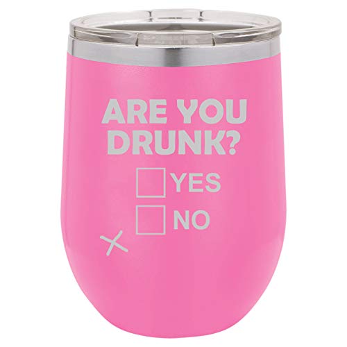 12 oz Double Wall Vacuum Insulated Stainless Steel Stemless Wine Tumbler Glass Coffee Travel Mug With Lid Are You Drunk Funny (Hot Pink)