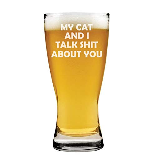 15 oz Beer Pilsner Glass My Cat And I Talk About You Funny