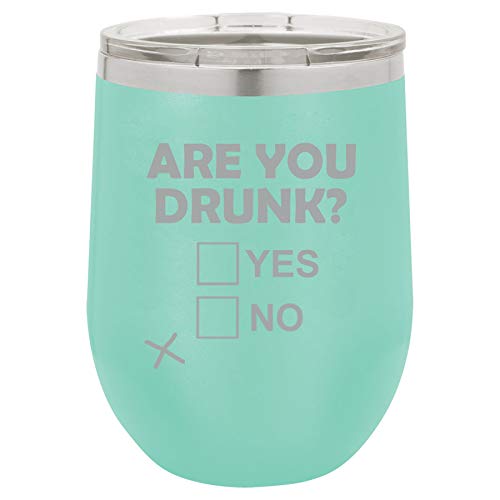 12 oz Double Wall Vacuum Insulated Stainless Steel Stemless Wine Tumbler Glass Coffee Travel Mug With Lid Are You Drunk Funny (Teal)