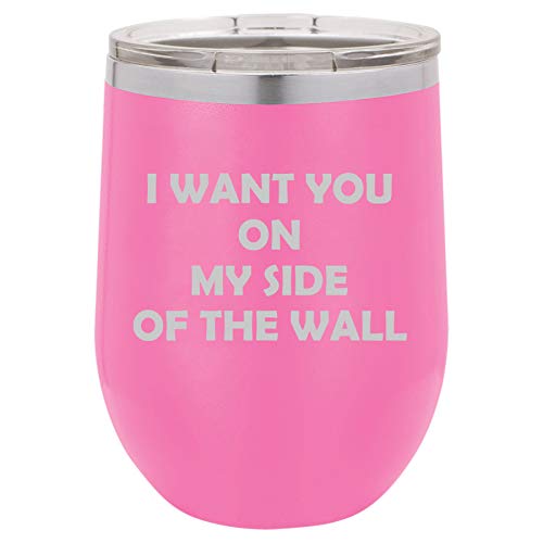 12 oz Double Wall Vacuum Insulated Stainless Steel Stemless Wine Tumbler Glass Coffee Travel Mug With Lid I Want You On My Side Of The Wall Funny Friend Boyfriend Girlfriend (Hot Pink)