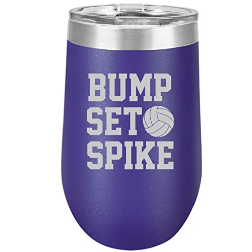 16 oz Double Wall Vacuum Insulated Stainless Steel Stemless Wine Tumbler Glass Coffee Travel Mug With Lid Bump Set Spike Volleyball (Purple)