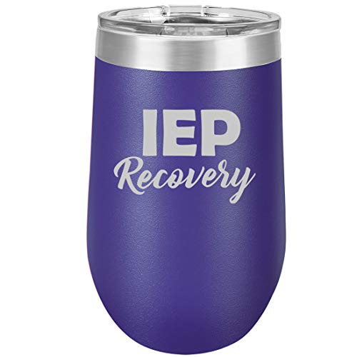 16 oz Double Wall Vacuum Insulated Stainless Steel Stemless Wine Tumbler Glass Coffee Travel Mug With Lid IEP Recovery Special Education Teacher (Purple)