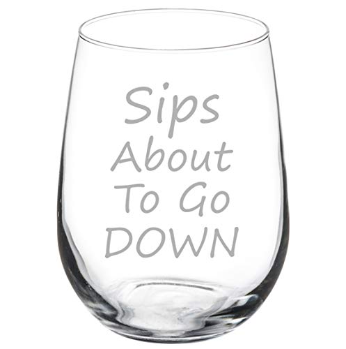 Wine Glass Goblet Sips About To Go Down Funny (17 oz Stemless)