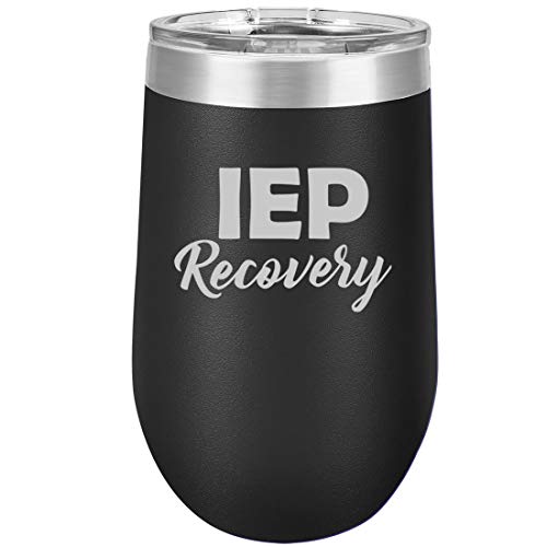 16 oz Double Wall Vacuum Insulated Stainless Steel Stemless Wine Tumbler Glass Coffee Travel Mug With Lid IEP Recovery Special Education Teacher