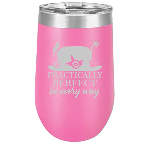 16 oz Double Wall Vacuum Insulated Stainless Steel Stemless Wine Tumbler Glass Coffee Travel Mug With Lid Practically Perfect In Every Way (Hot Pink)