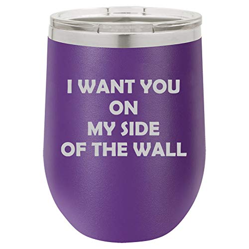 12 oz Double Wall Vacuum Insulated Stainless Steel Stemless Wine Tumbler Glass Coffee Travel Mug With Lid I Want You On My Side Of The Wall Funny Friend Boyfriend Girlfriend (Purple)