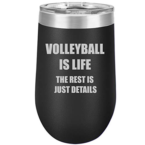 16 oz Double Wall Vacuum Insulated Stainless Steel Stemless Wine Tumbler Glass Coffee Travel Mug With Lid Volleyball Is Life (Black)