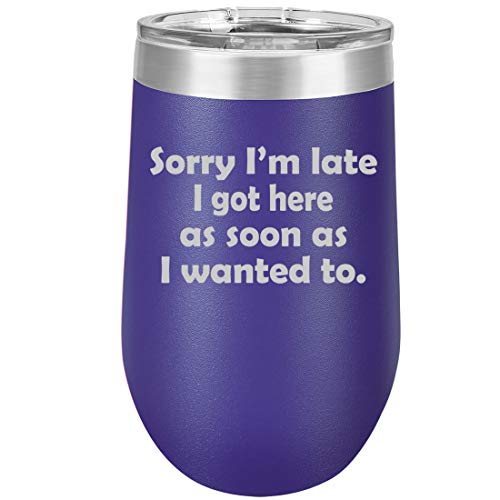 16 oz Double Wall Vacuum Insulated Stainless Steel Stemless Wine Tumbler Glass Coffee Travel Mug With Lid Sorry I'm Late I Got Here As Soon As I Wanted To Sarcasm Funny (Purple)