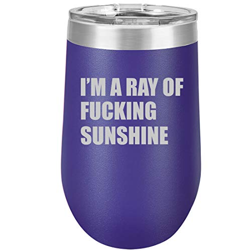 16 oz Double Wall Vacuum Insulated Stainless Steel Stemless Wine Tumbler Glass Coffee Travel Mug With Lid I'm A Ray Of Fcking Sunshine Funny (Purple)