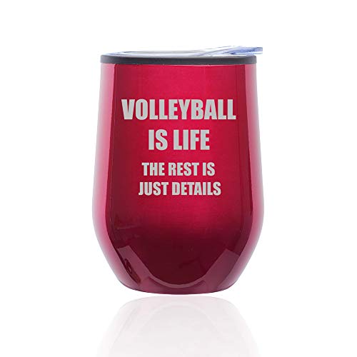 Stemless Wine Tumbler Coffee Travel Mug Glass With Lid Volleyball Is Life (Fuchsia)