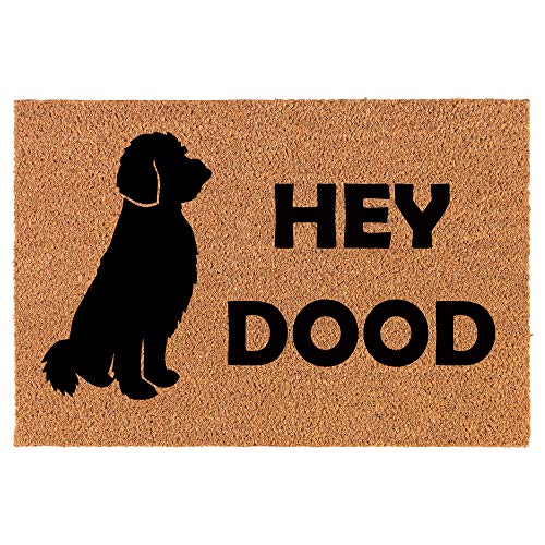 Coir Doormat Front Door Mat New Home Closing Housewarming Gift Hey Dood Doodle Dog Funny (24" x 16" Small)